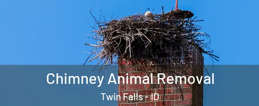 Chimney Animal Removal Twin Falls - ID