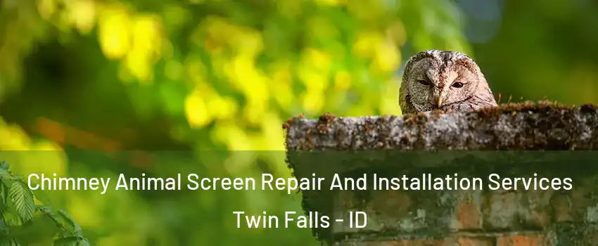  Chimney Animal Screen Repair And Installation Services Twin Falls - ID