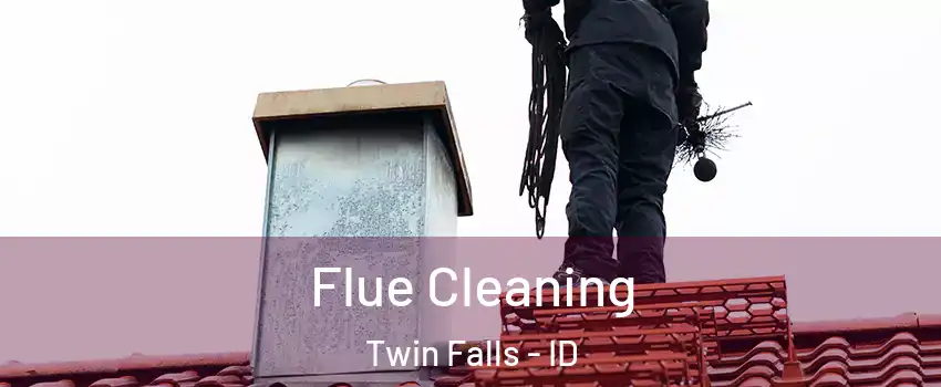  Flue Cleaning Twin Falls - ID
