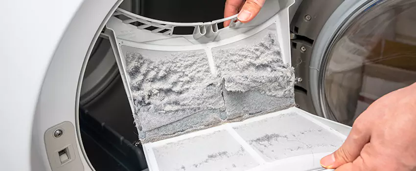 Best Dryer Lint Removal Company in Twin Falls, Idaho