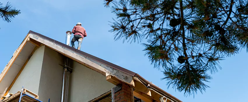 Birds Removal Contractors from Chimney in Twin Falls, ID