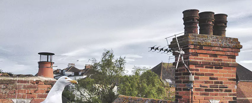 Chimney Cleaning And Restoration in Twin Falls, Idaho